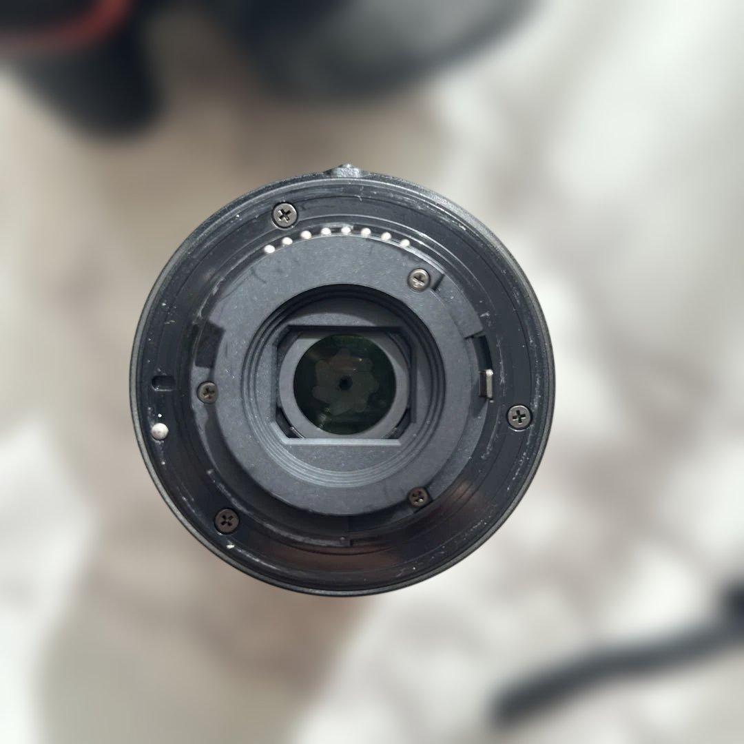 Nikon D5600 18-55mmレンズキット 動作確認済充電器2個ケース付