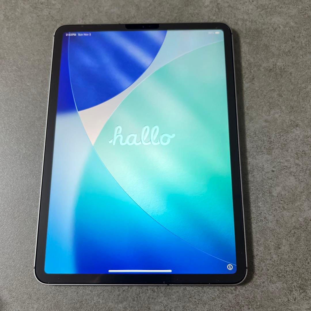 iPad Pro 11インチ 第1世代 セルラー　グレー