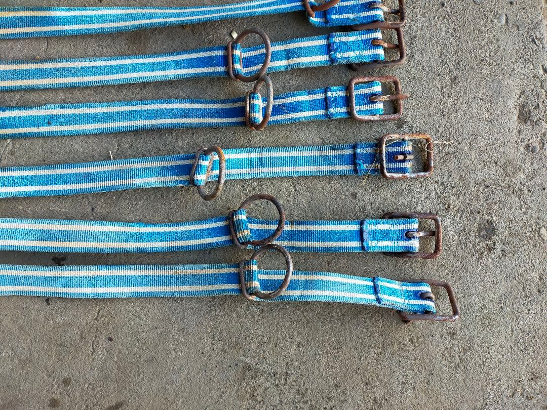 ナイロン製青と白ストライプ首輪　ベルト用途　10本セット