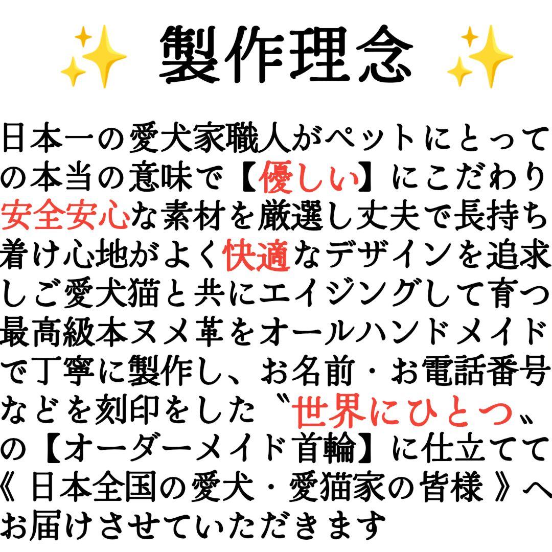 【coco】２本セット✨名入れ✨首輪とお揃い✨️小型犬用リード