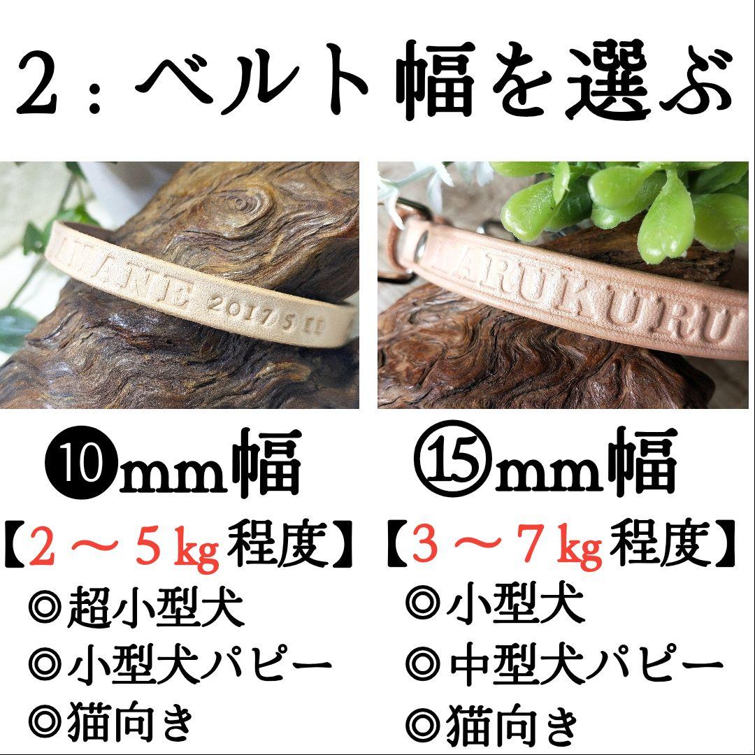 【coco】２本セット✨名入れ✨首輪とお揃い✨️小型犬用リード