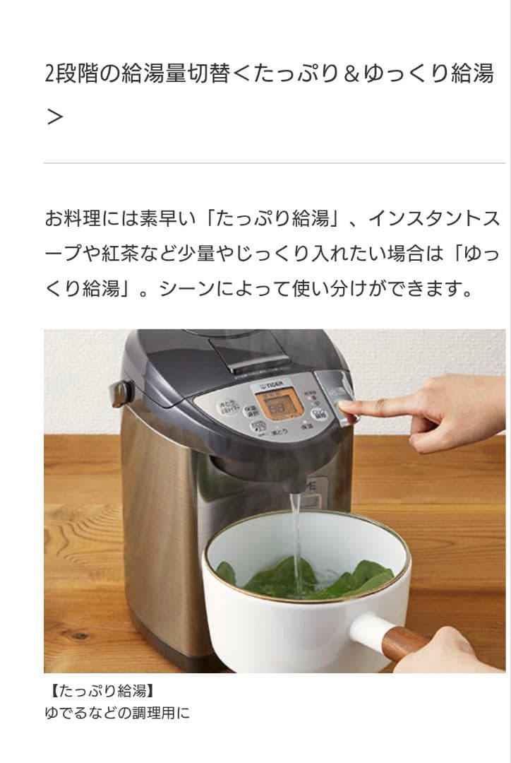 TIGER タイガー蒸気レスVE電気まほうびん 3.0L 2021年製 ブラウン