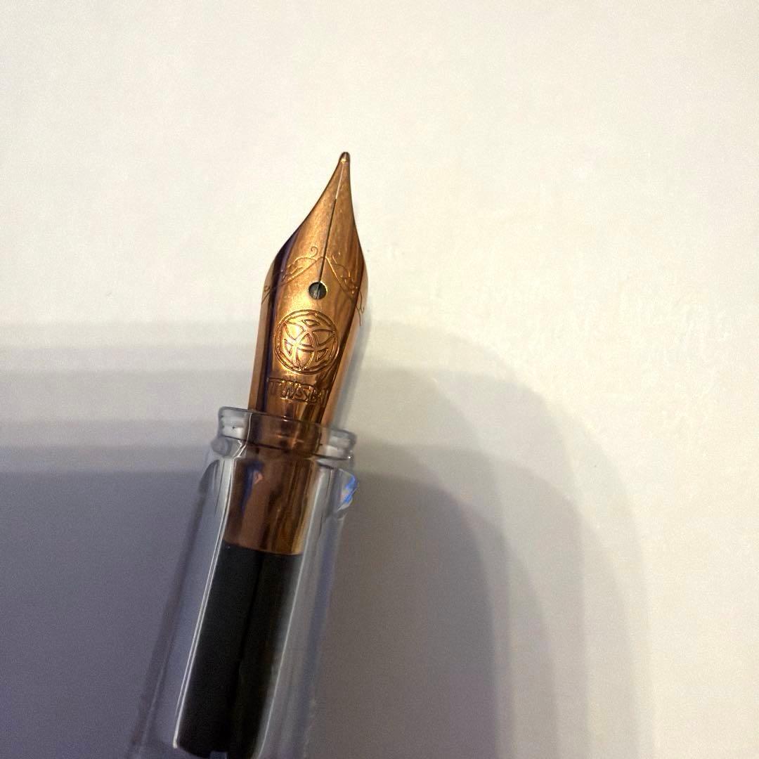 万年筆 まとめ売り pilot カスタム74 ヘリテイジ912 TWSBI