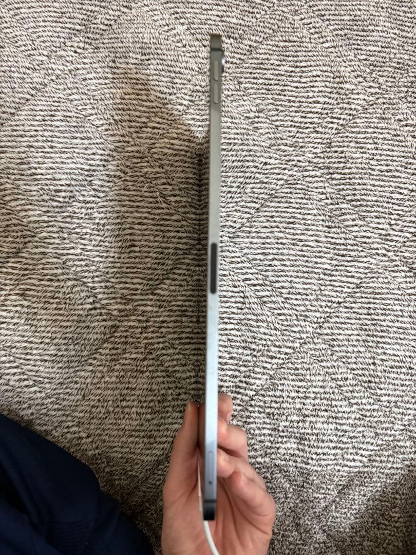 【ジャンク品】iPadpro11インチ 第1世代 WiFi 256GB 充電不可
