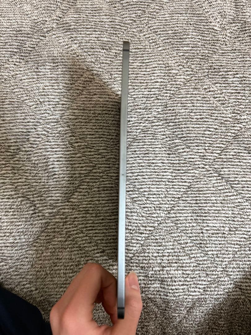 【ジャンク品】iPadpro11インチ 第1世代 WiFi 256GB 充電不可