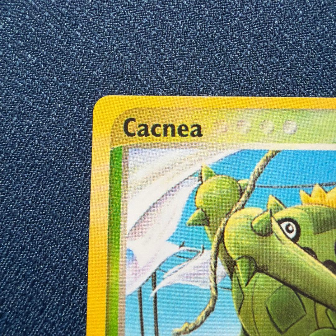 【英語版】Cacnea サボネア 57/100 58/100 ● eカード 2枚