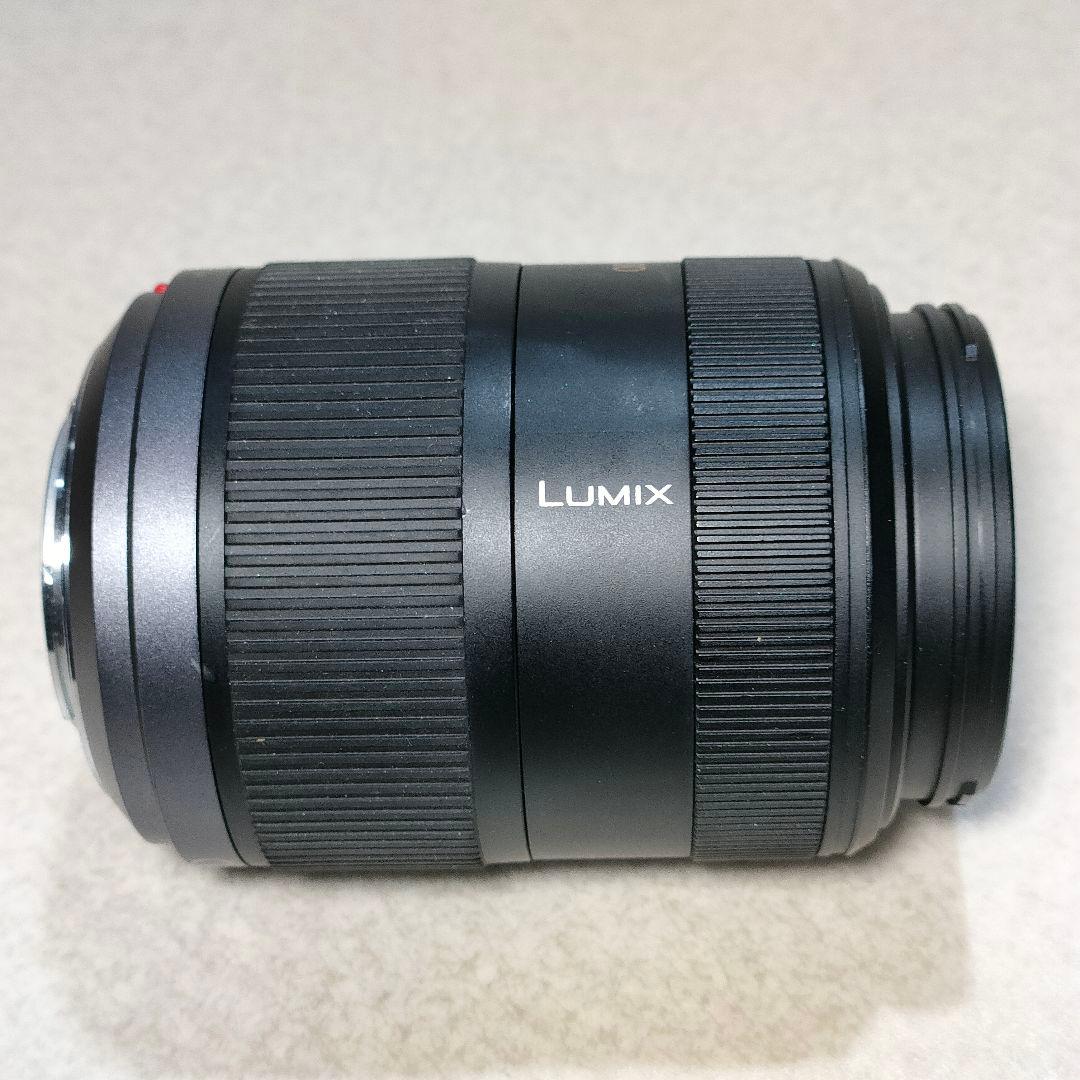 Panasonic LUMIX G VARIO 45-200mmレンズ#3020