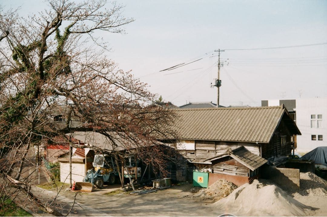 Taron 35 フィルムカメラ　実写作例あり