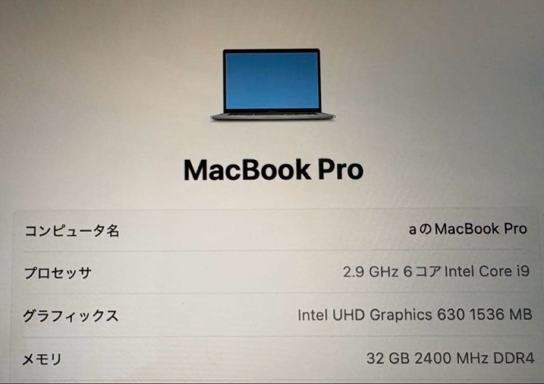 Mac Book Pro 2.9 GHz 6コア Intel Core i9