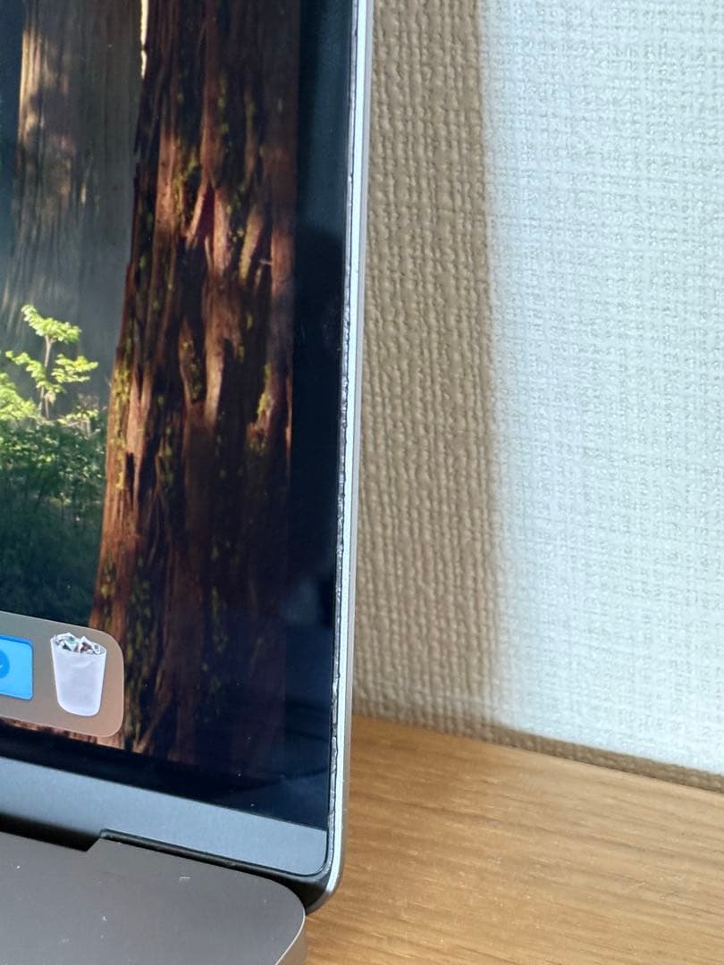 Mac Book Pro 2.9 GHz 6コア Intel Core i9