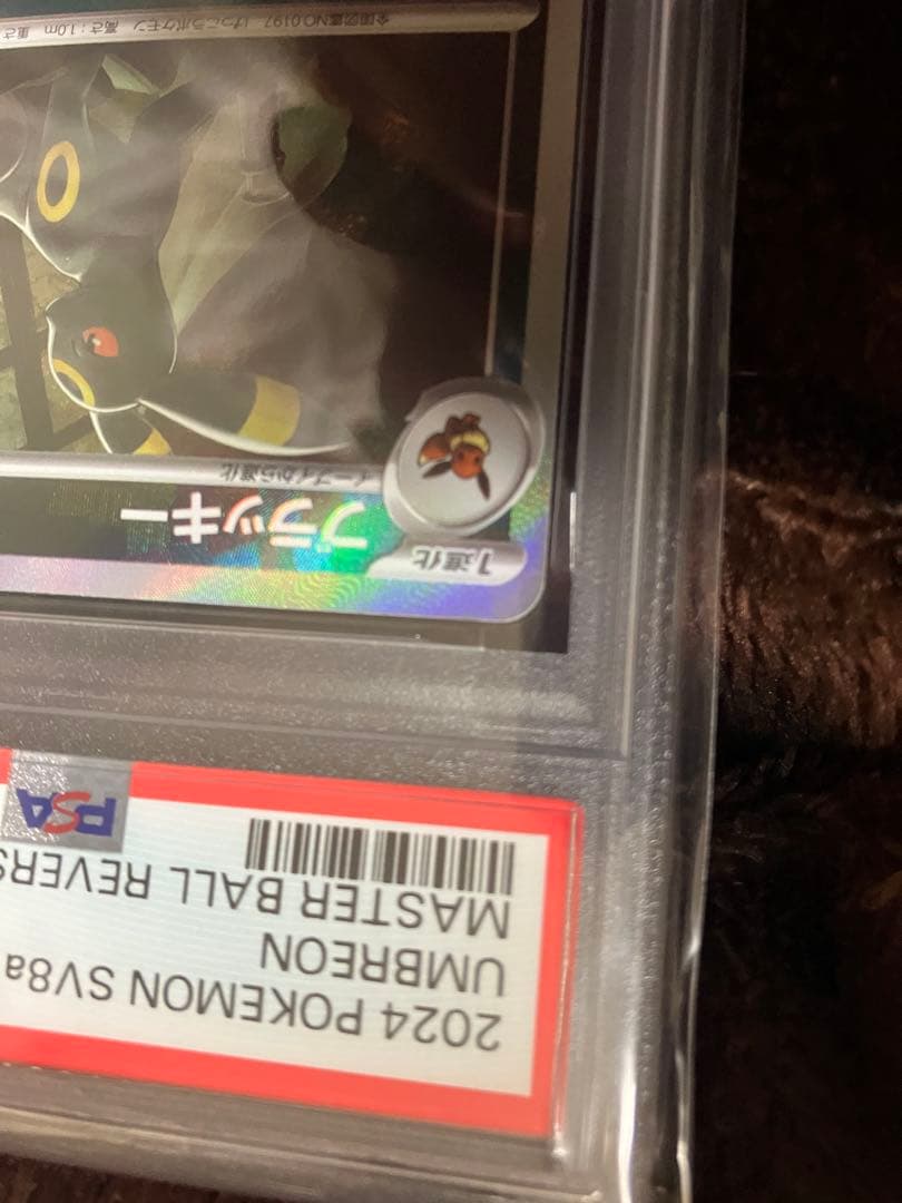 psa10 ブラッキー　マスボ