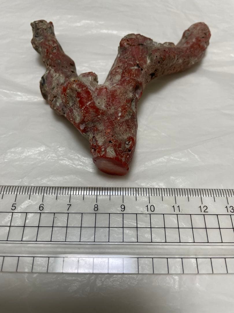 赤珊瑚原木の置物