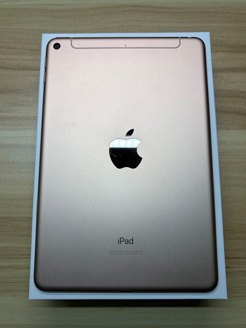 iPad mini 第5世代 64GB SIMフリー 美品