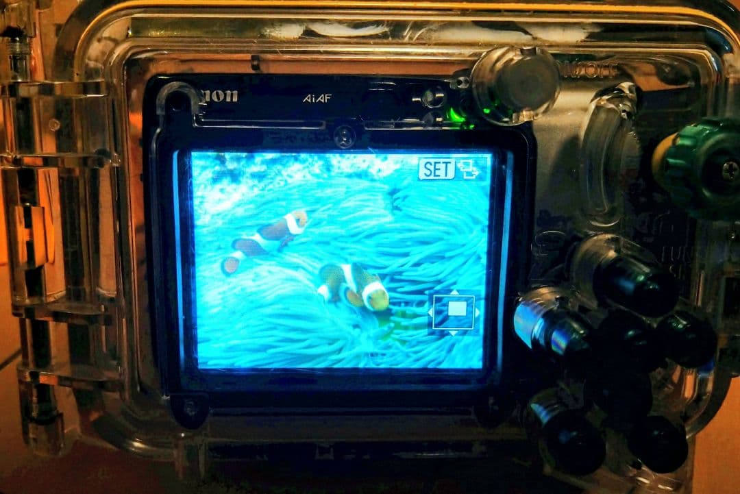 【 Canon 】IXY DIGITAL 800 IS デジカメ& 防水ケース