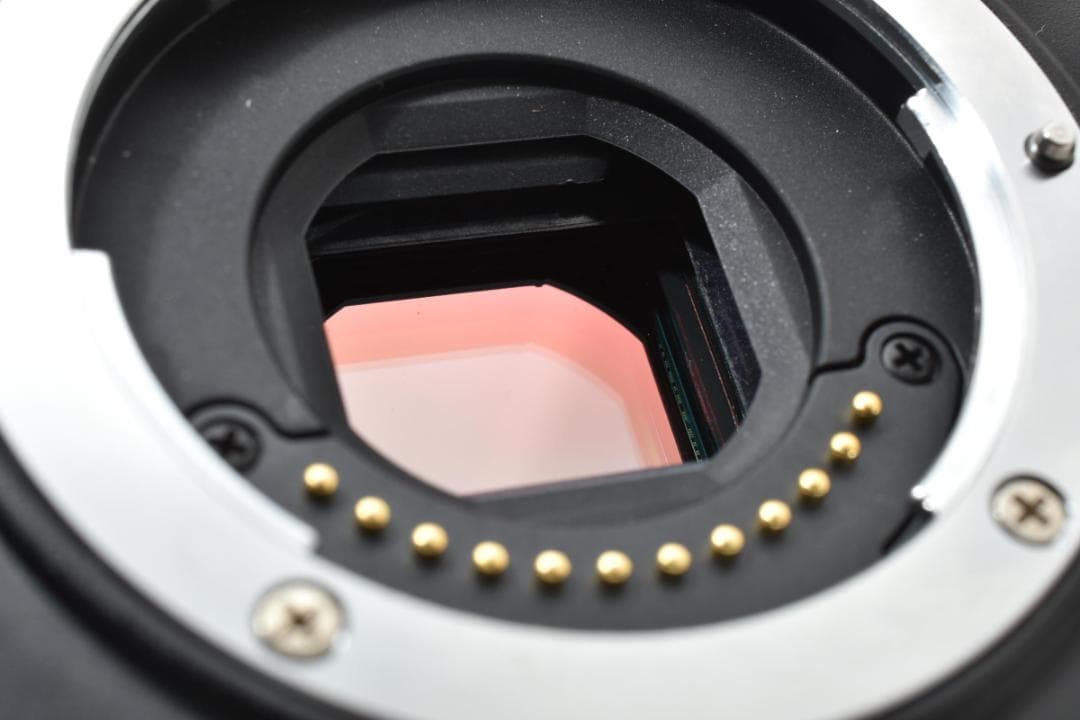 ニコン 1 V1 ミラーレスデジタルカメラボディ ブラック Nikon