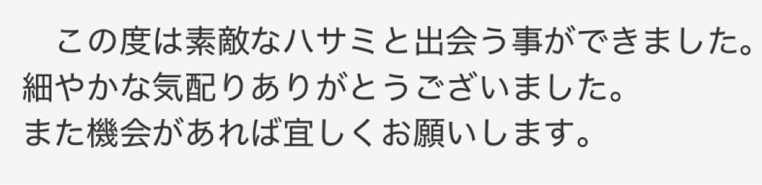 プロ用セニングシザー10%人気の溝無し切れ味抜群プロ用スキバサミ理美容師すきバサ