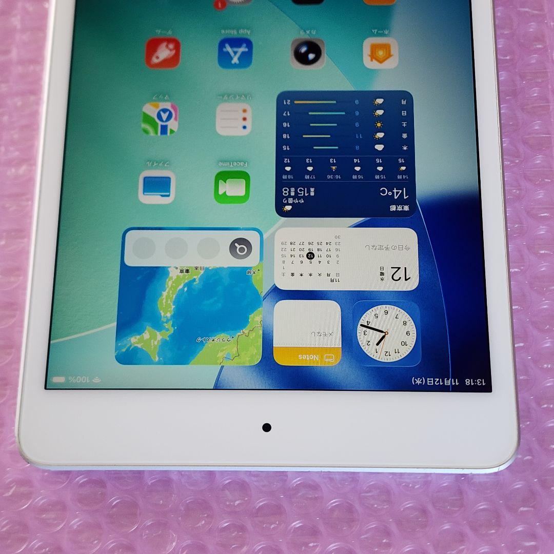 iPad mini 第5世代　バッテリー良好　Wi-Fiモデル　64GB