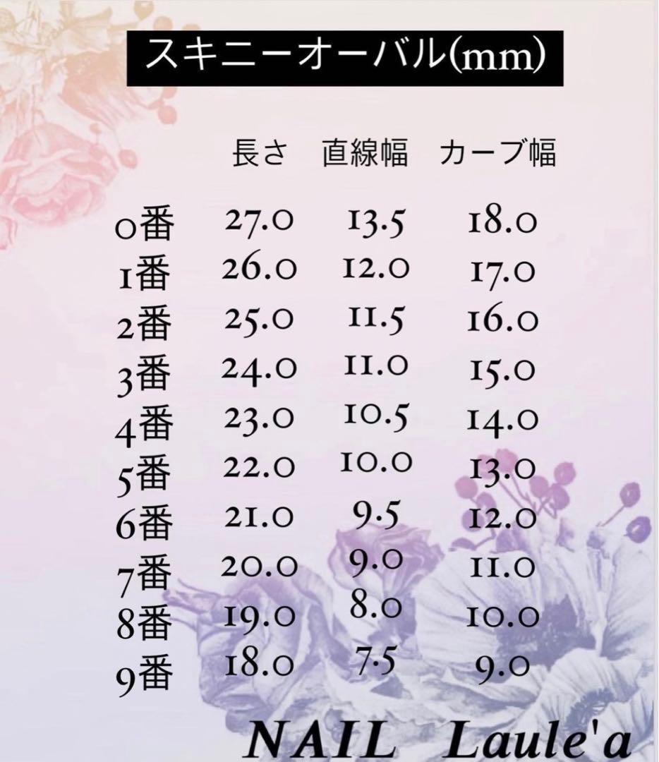 【No,42】成人式ネイルチップ