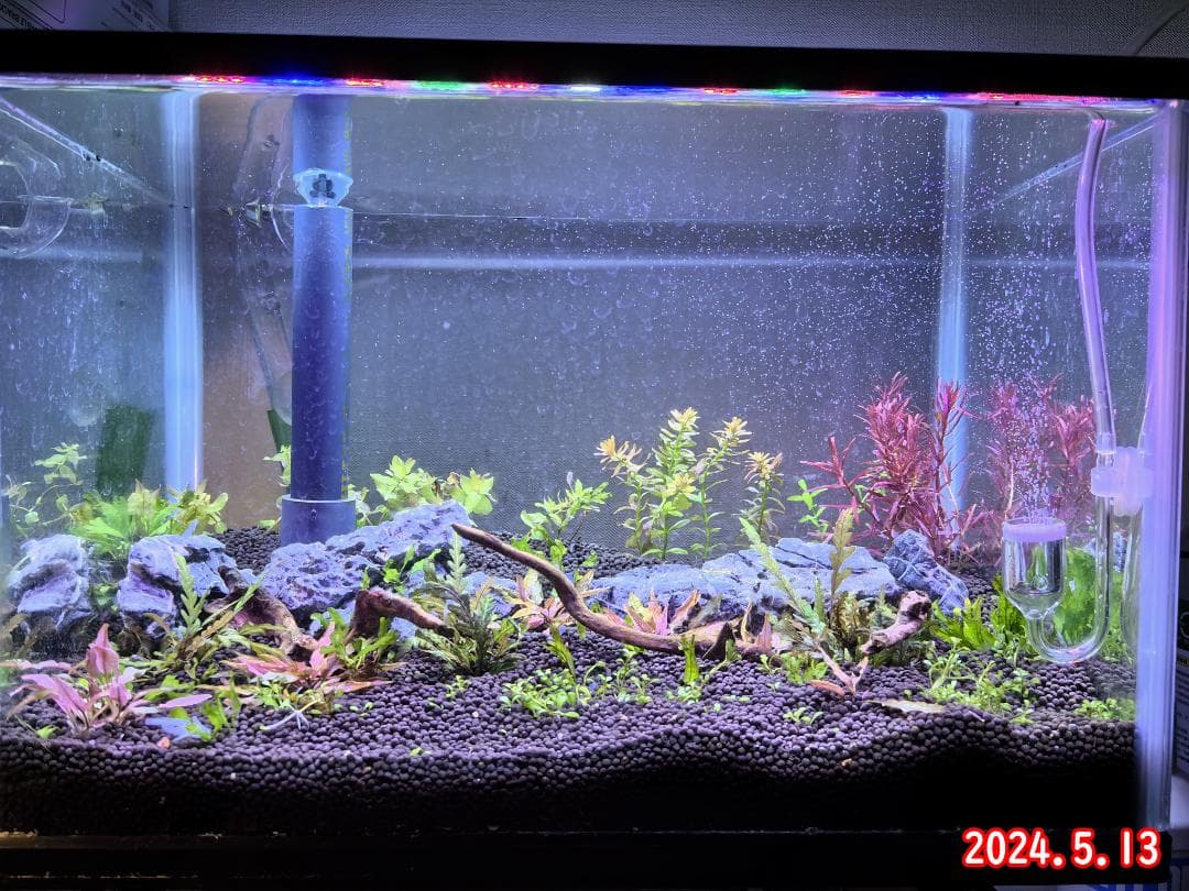 2本★水草育成ライト 高輝度 LED水槽ライト 60cm水槽対応A2272
