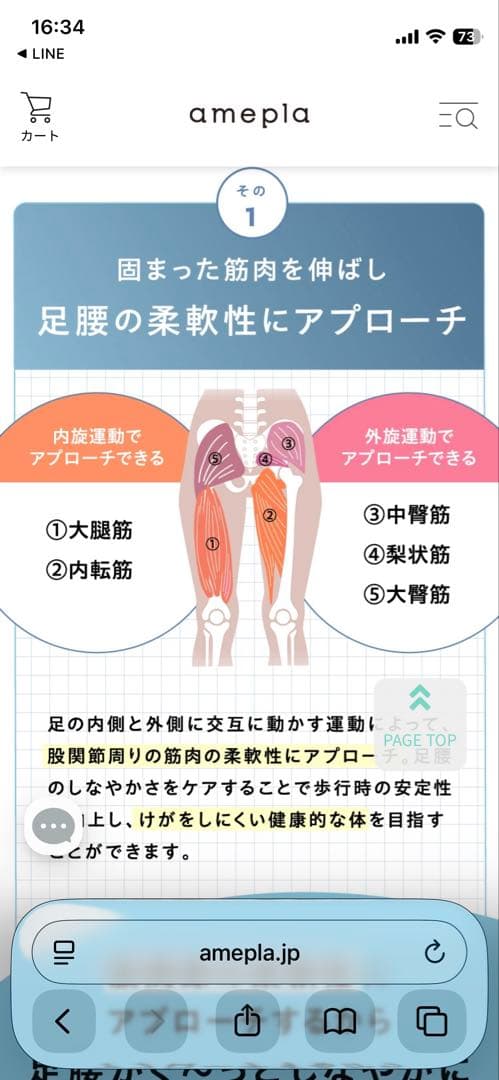 【極美品】関節ツイストボード Circle balance(サークルバランス)