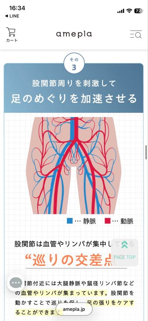 【極美品】関節ツイストボード Circle balance(サークルバランス)