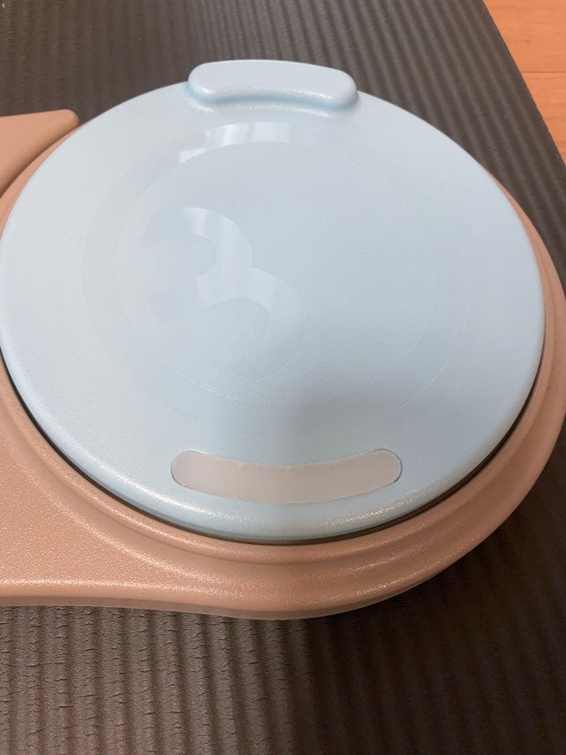 【極美品】関節ツイストボード Circle balance(サークルバランス)