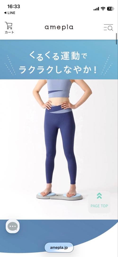 【極美品】関節ツイストボード Circle balance(サークルバランス)