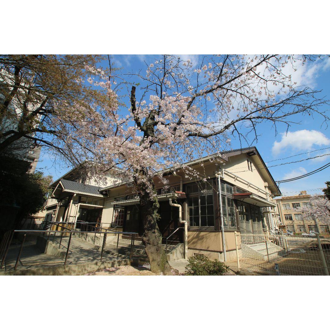 超広角ズームレンズ TAMRON SP AF 11-18mm Canon EF