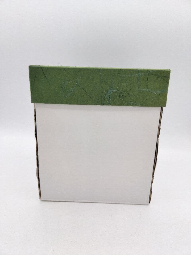 d155【新品・未使用】煎茶 上手 ボーフラ 東岳作 紙箱 煎茶道具