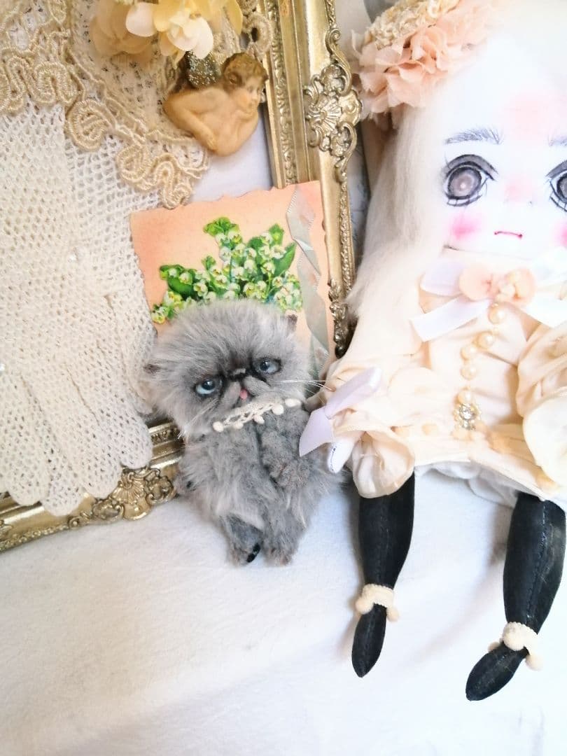 (ΦωΦ)おチビちゃん(ΦωΦ)夢夢ちゃんッ♥にゃんこ♥猫❤️エキゾチック