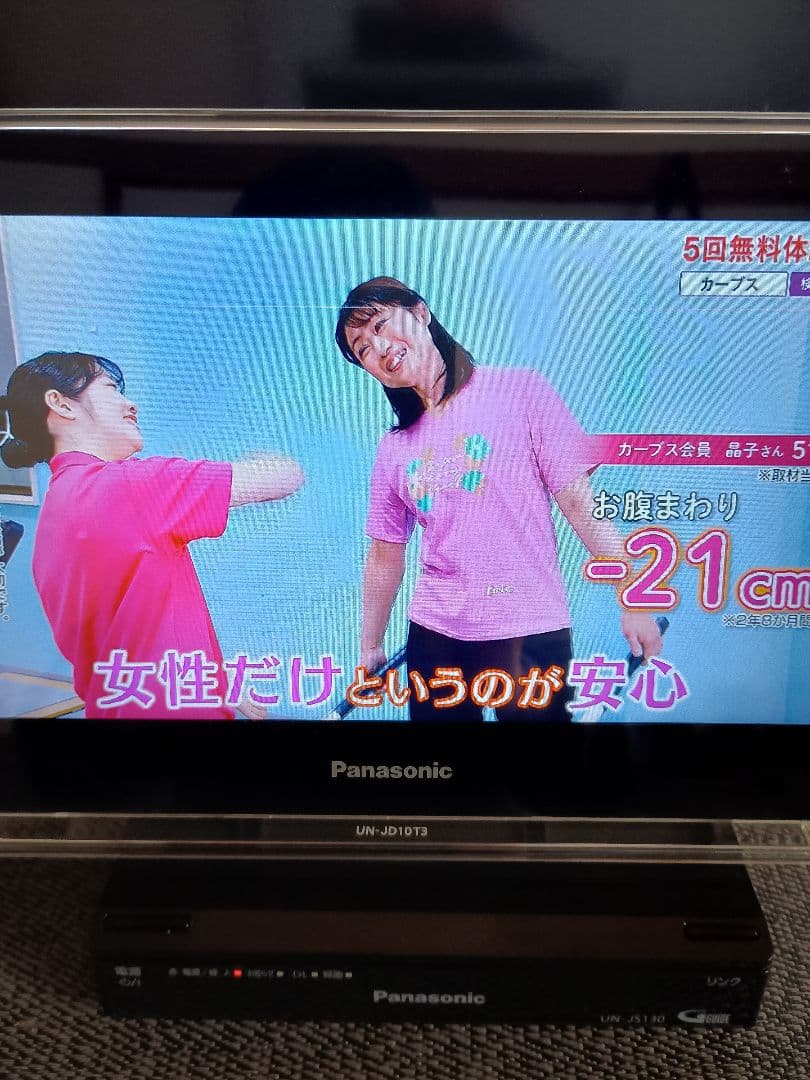 Panasonic プライベート・ビエラ 10型