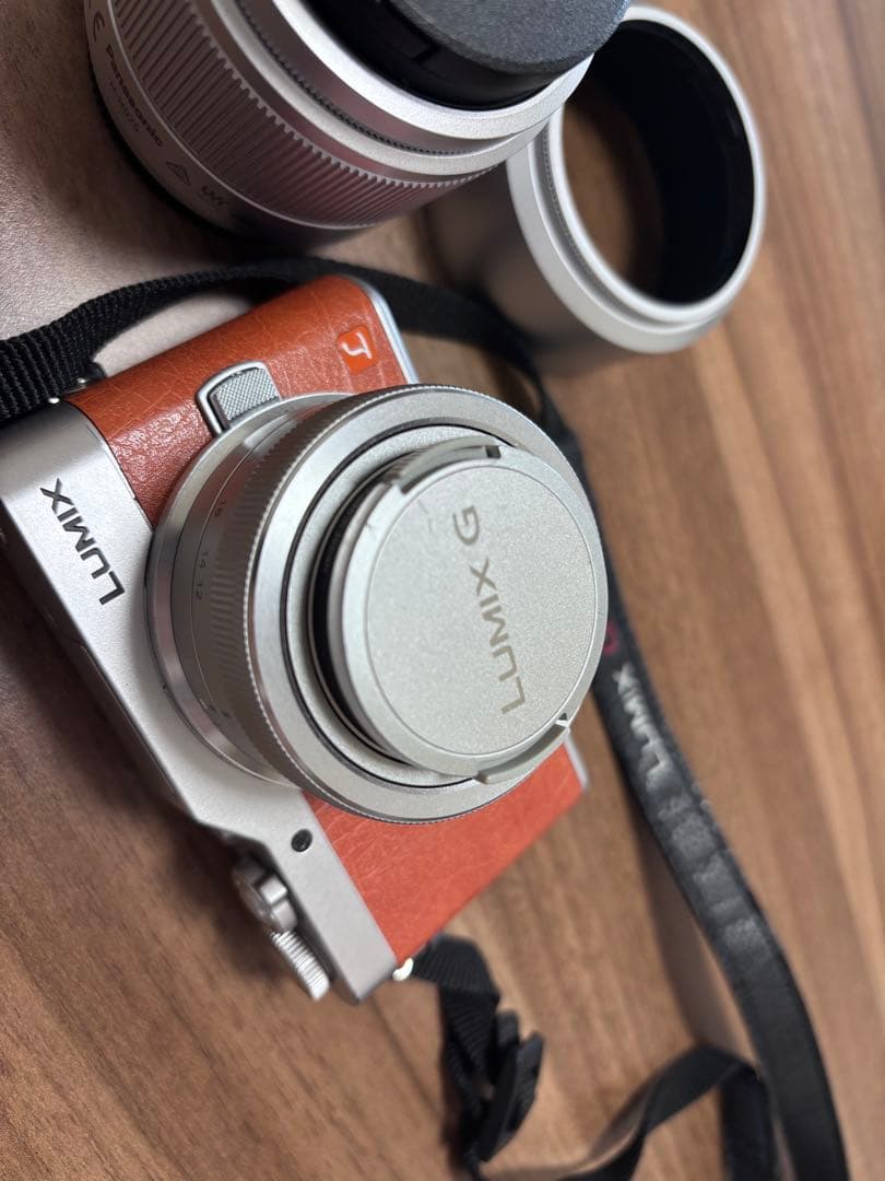 Panasonic LUMIX DC-GF9 ミラーレス一眼