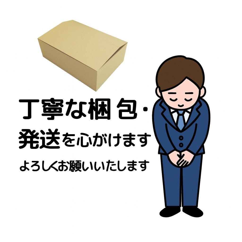 AGOBOT 電動 回転モップクリーナ 軽量 自走式 水拭き コードレス 床拭き
