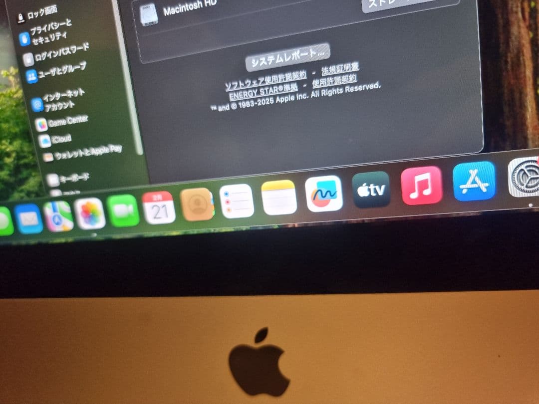 iMac 21.5 4K Core i5 / 8GB / 1TB 2019　本体