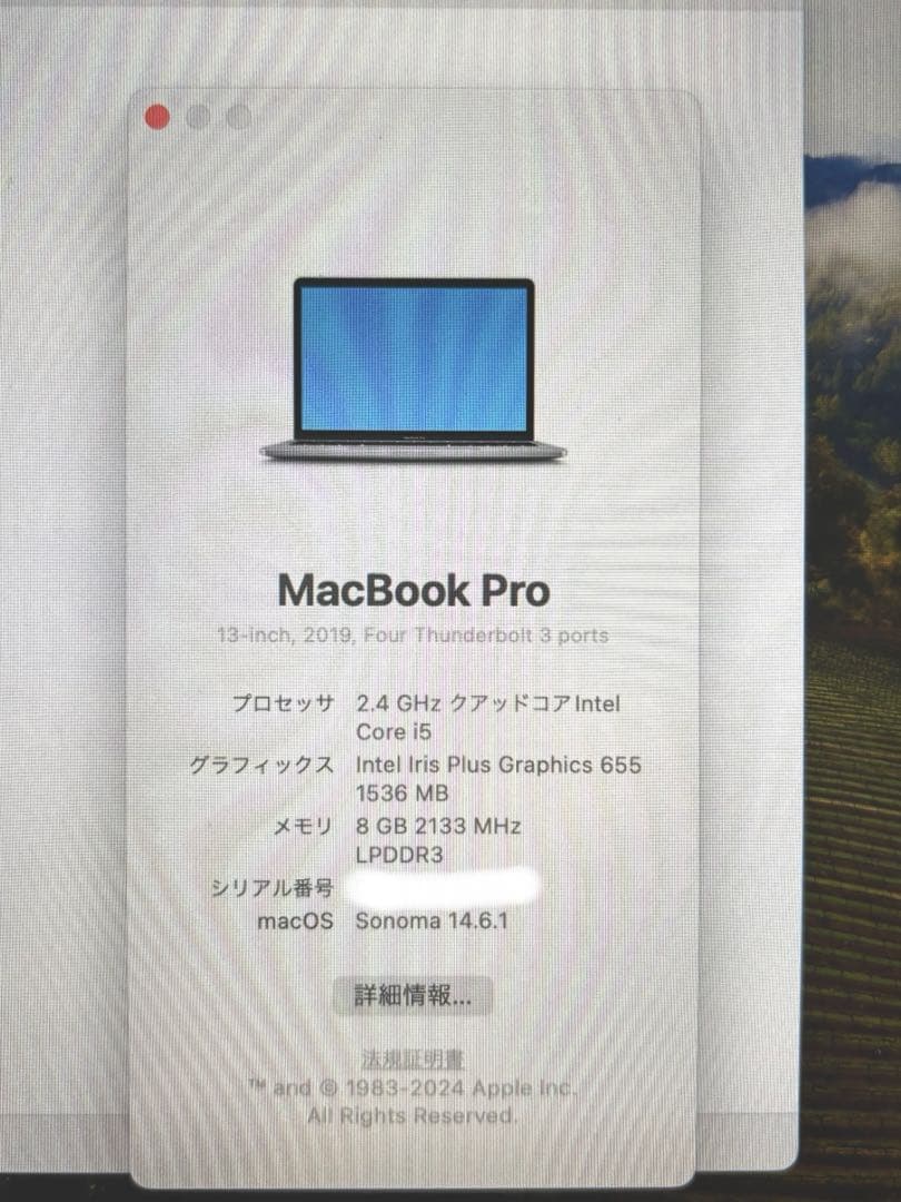【美品】MacBook Pro 13 2019 i5 256GB 4ポート