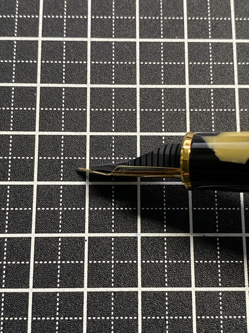 PLATINUM #3776 CENTURY Celluloid 石垣柄　万年筆