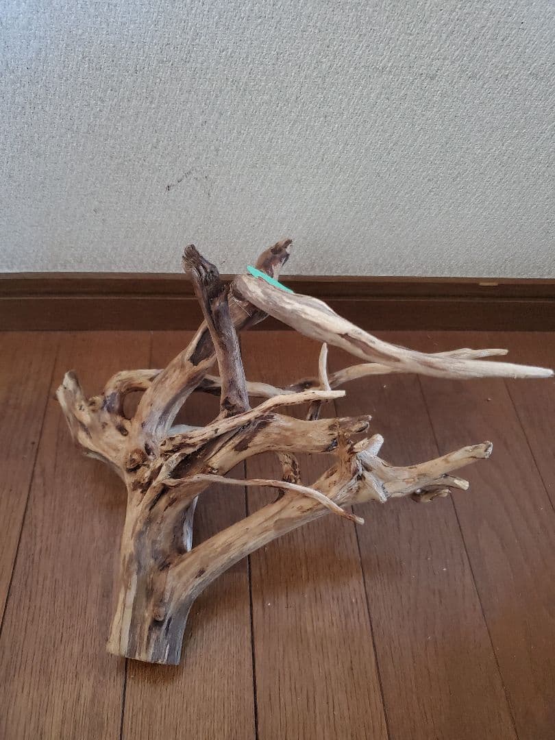 源流木　セット　571