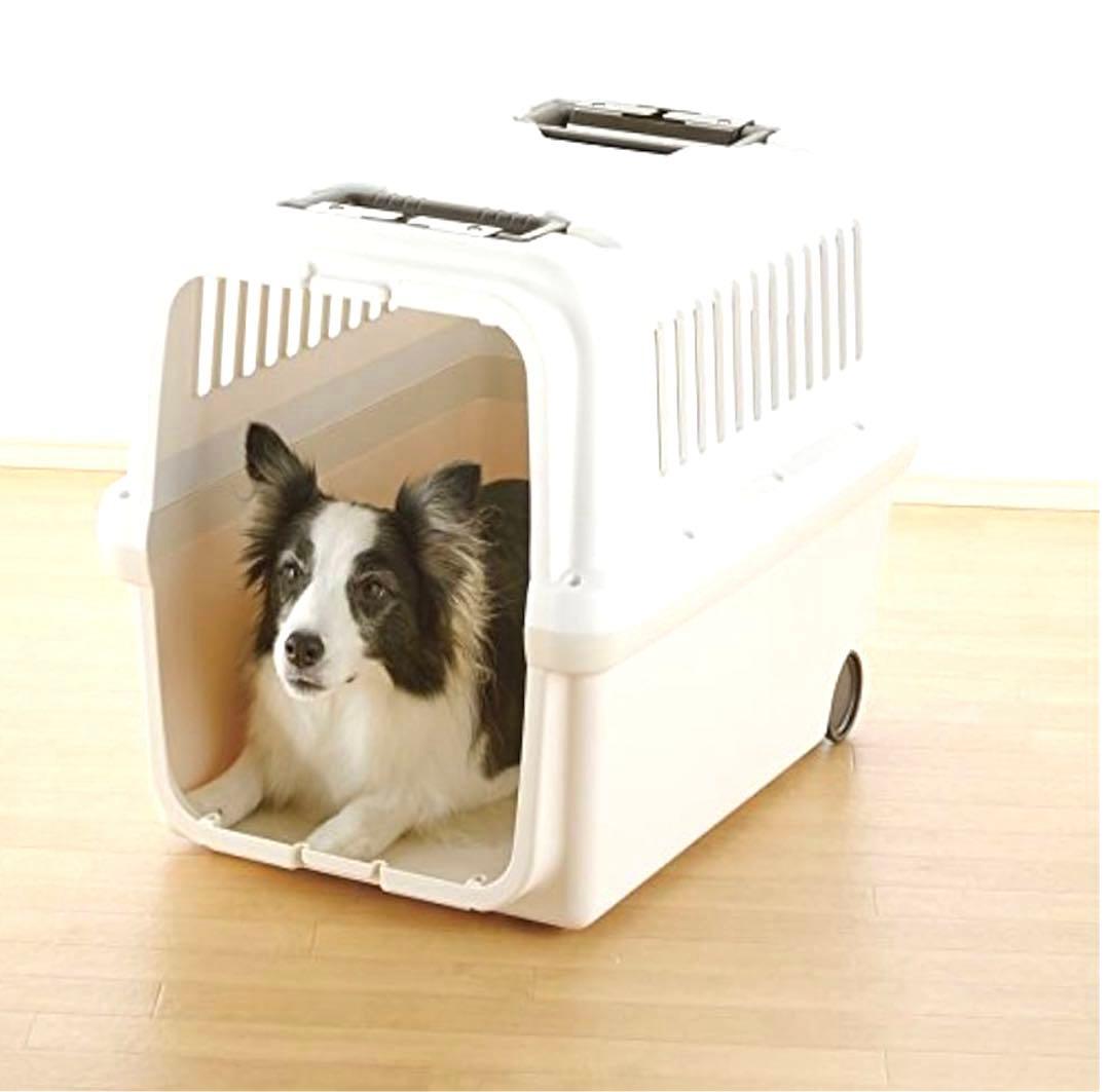 【美品】Richellリッチェル キャンピングキャリー L 中型犬　ピンク