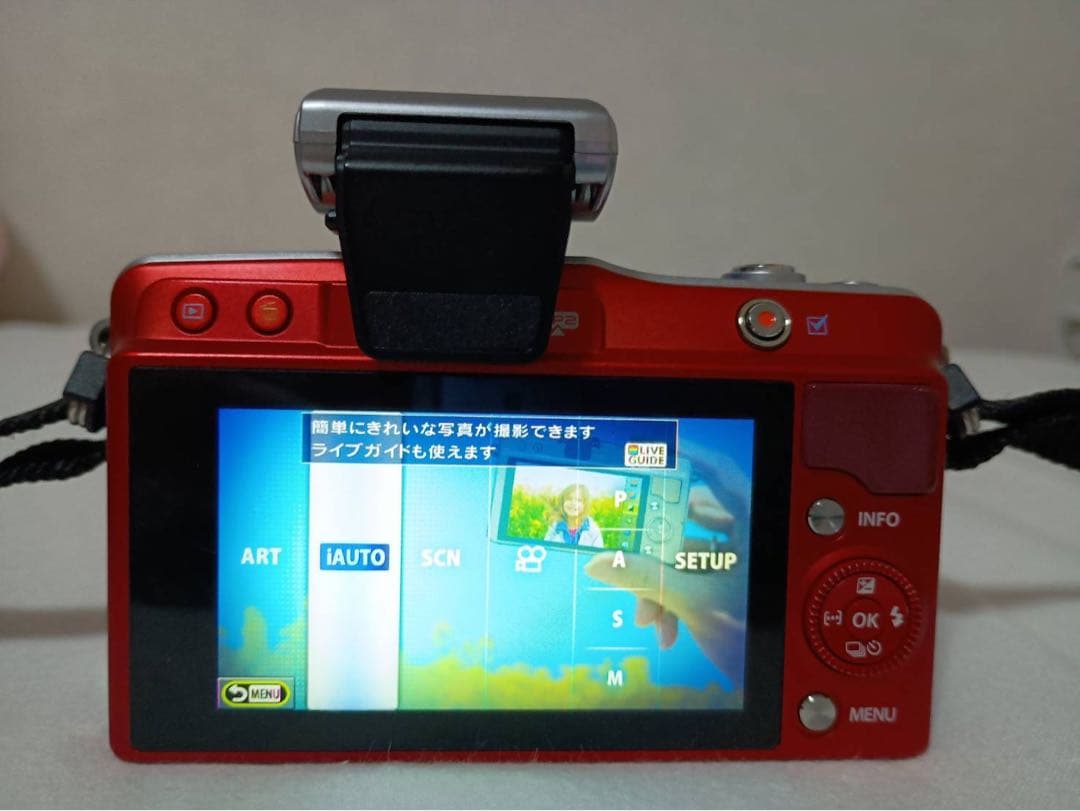 ミラーレス一眼 OLMPUS PEN mini E-PM2 カメラケース付