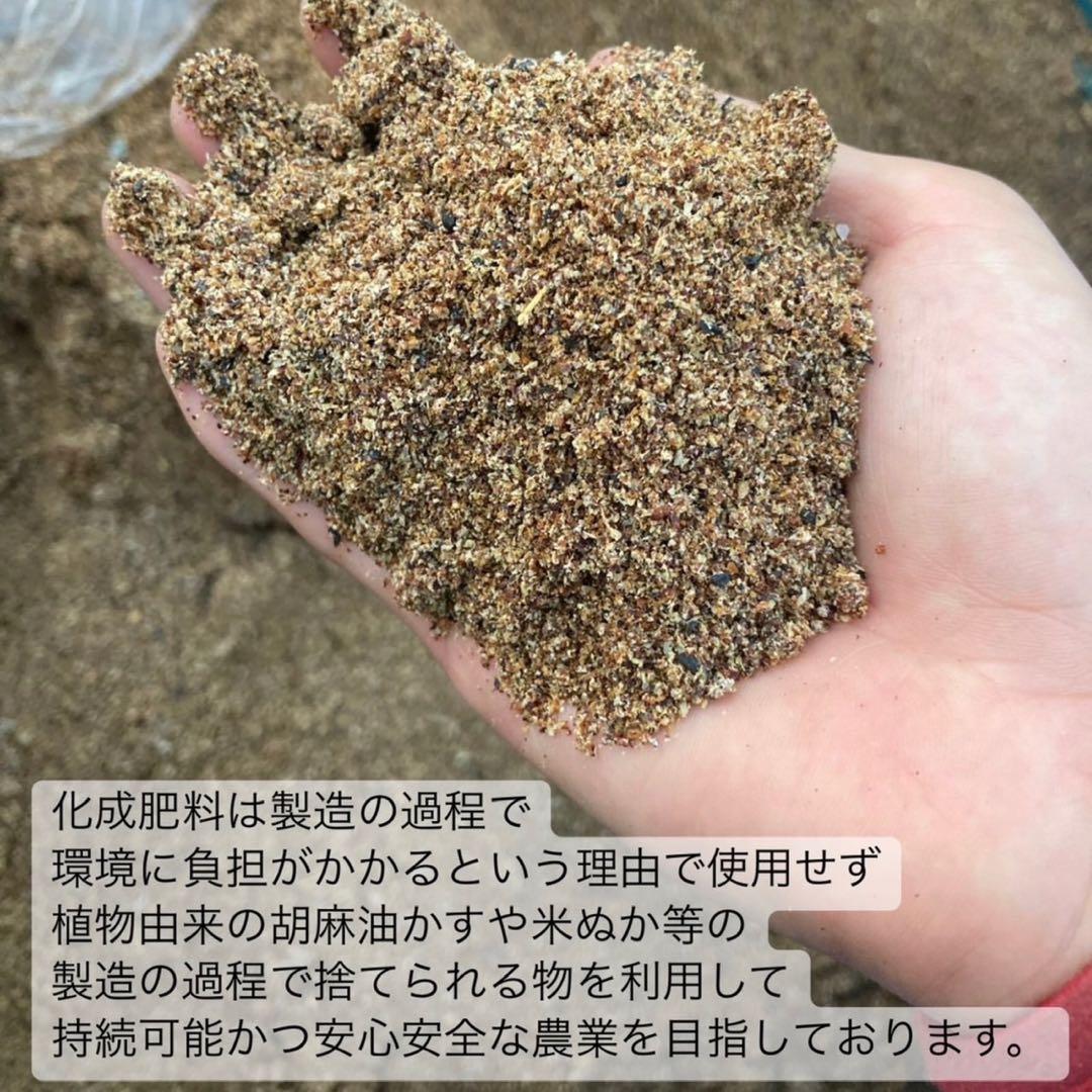 【華やかな香りと上品な苦味】さっと溶かすだけ簡単♪宇治抹茶100g(100杯分)