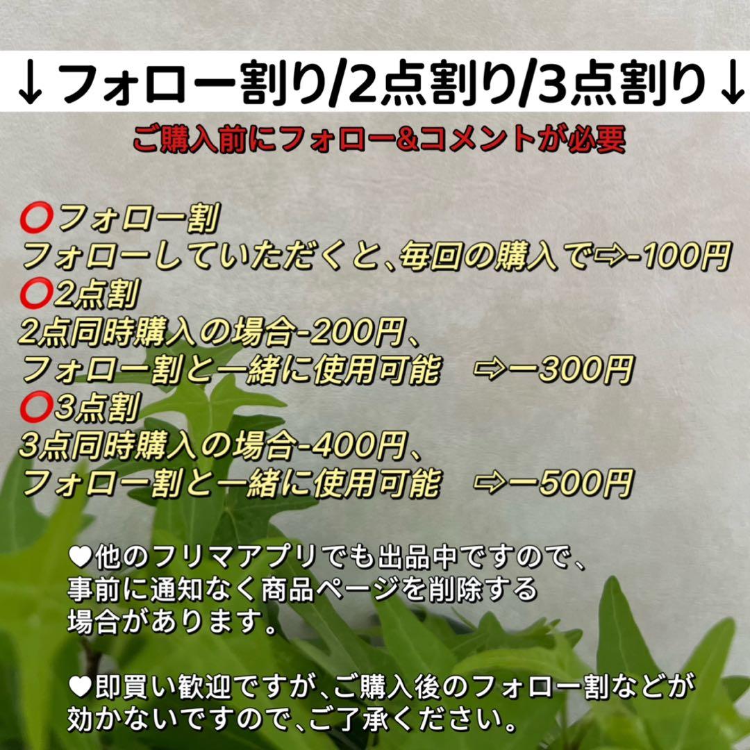 3点まとめ　オイスターパールネックレス　ケシパールフープピアス　ケシパールリング