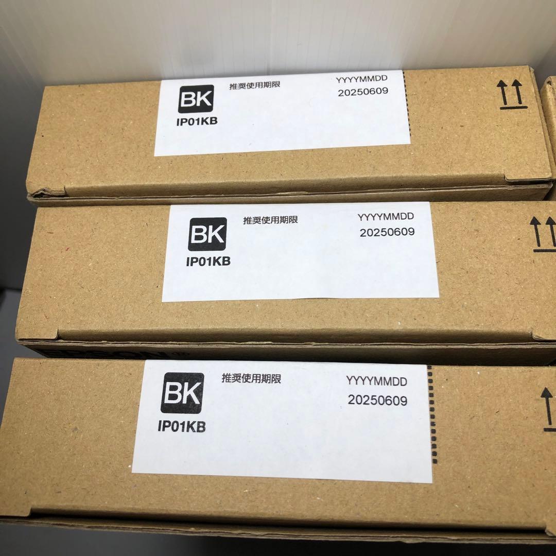 純正 EPSON IP01 インクカートリッジ 4色6個セット