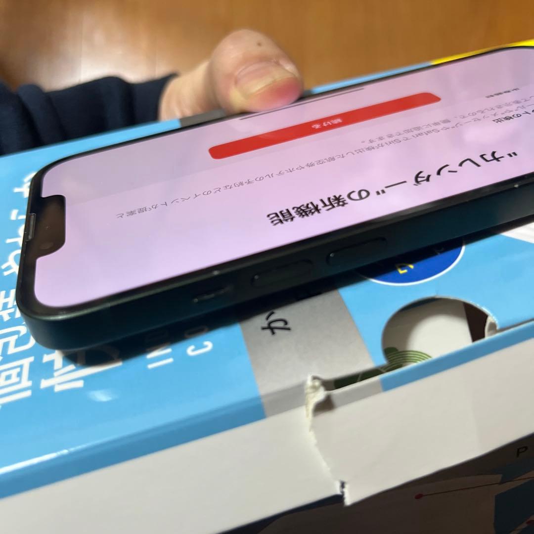 【動作良好・画面割れ無し・不具合なし】Apple iPhone 13 本体
