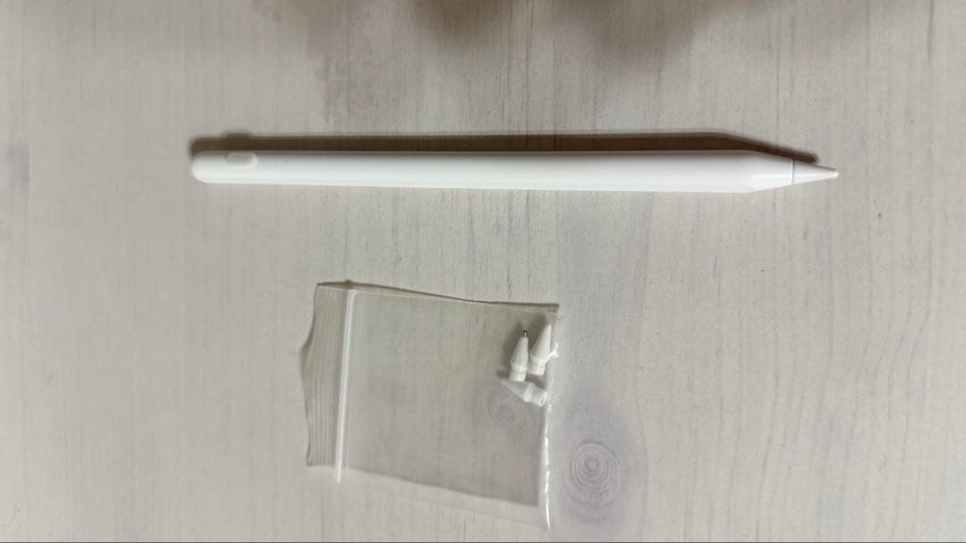 おまけ多数　iPad Pro 256GB 11インチ Wi-Fiシルバー M4
