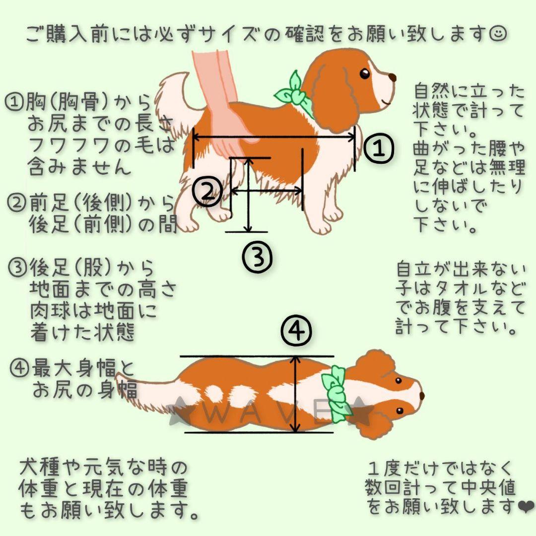 ちゃもたろ　犬の歩行器　小型犬用車いす　犬用車椅子　組立式　犬の車いす