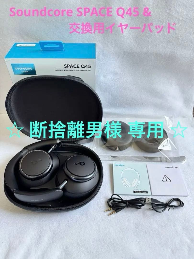 Anker Soundcore SPACE Q45 ・ 交換用イヤーパッド