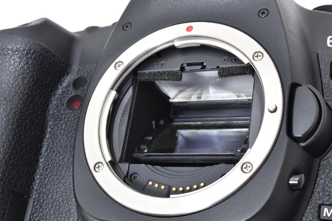 ＜ ショット極少 ＞　キヤノン　Canon EOS ５D MarkⅡ ボディ