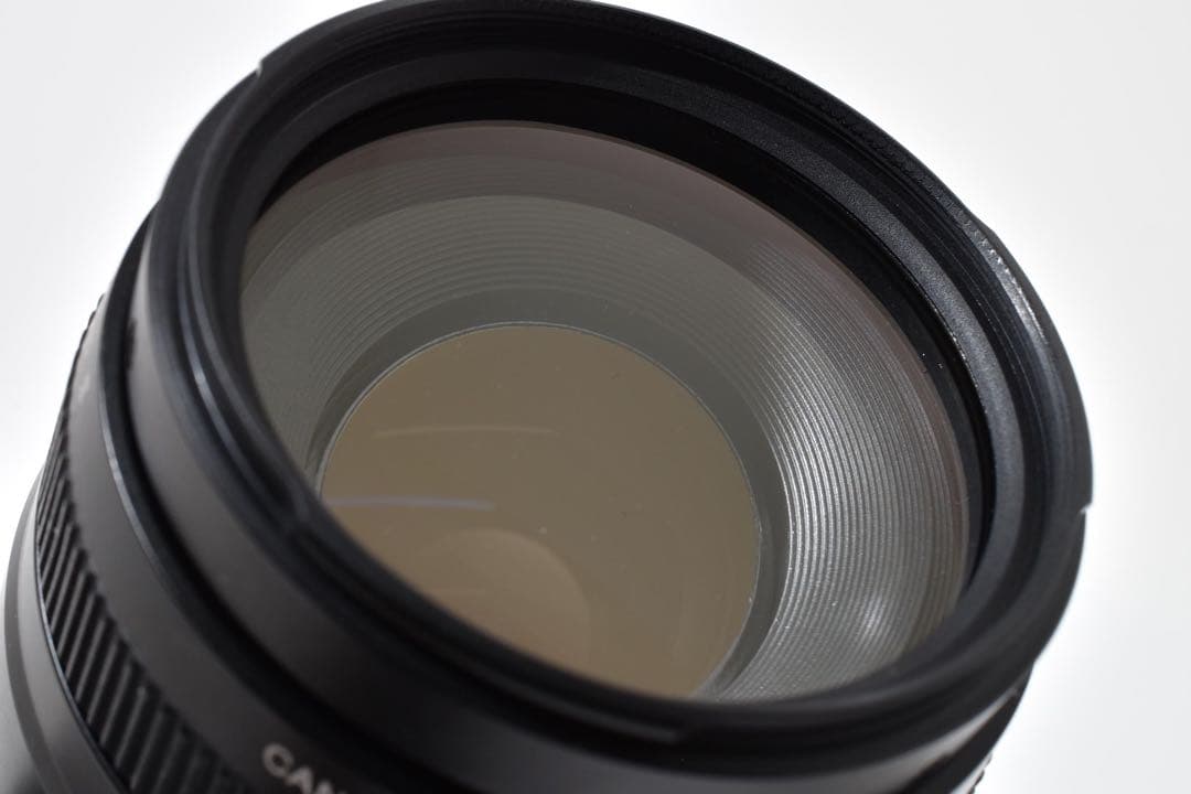 canon kiss x9/ Canon EF75-300mm F4-5.6 Ⅱ