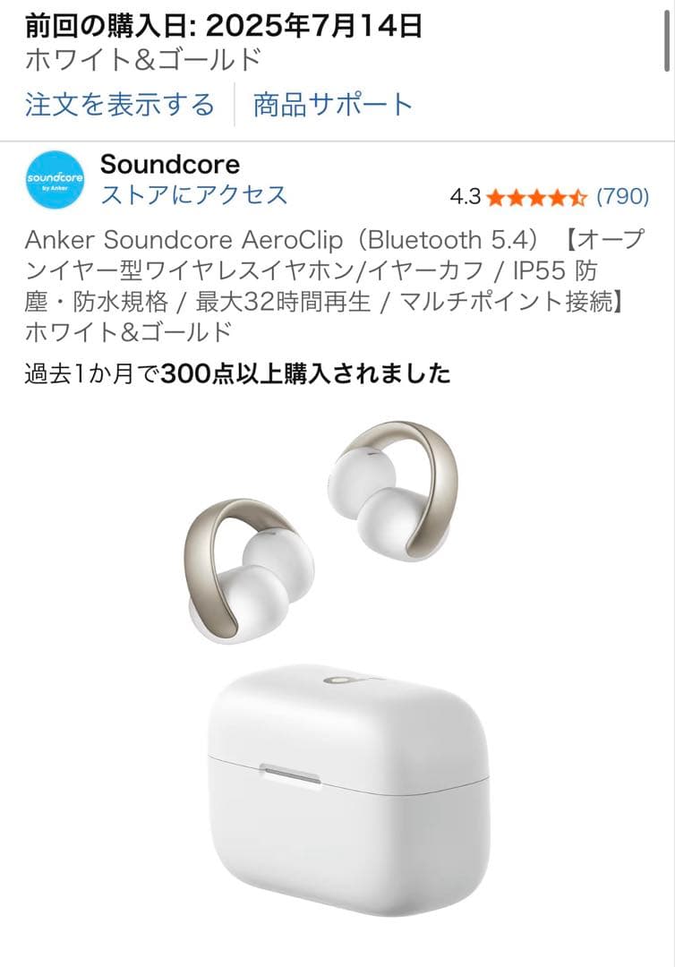 【訳あり】Anker Soundcore AeroClip ワイヤレスイヤホン