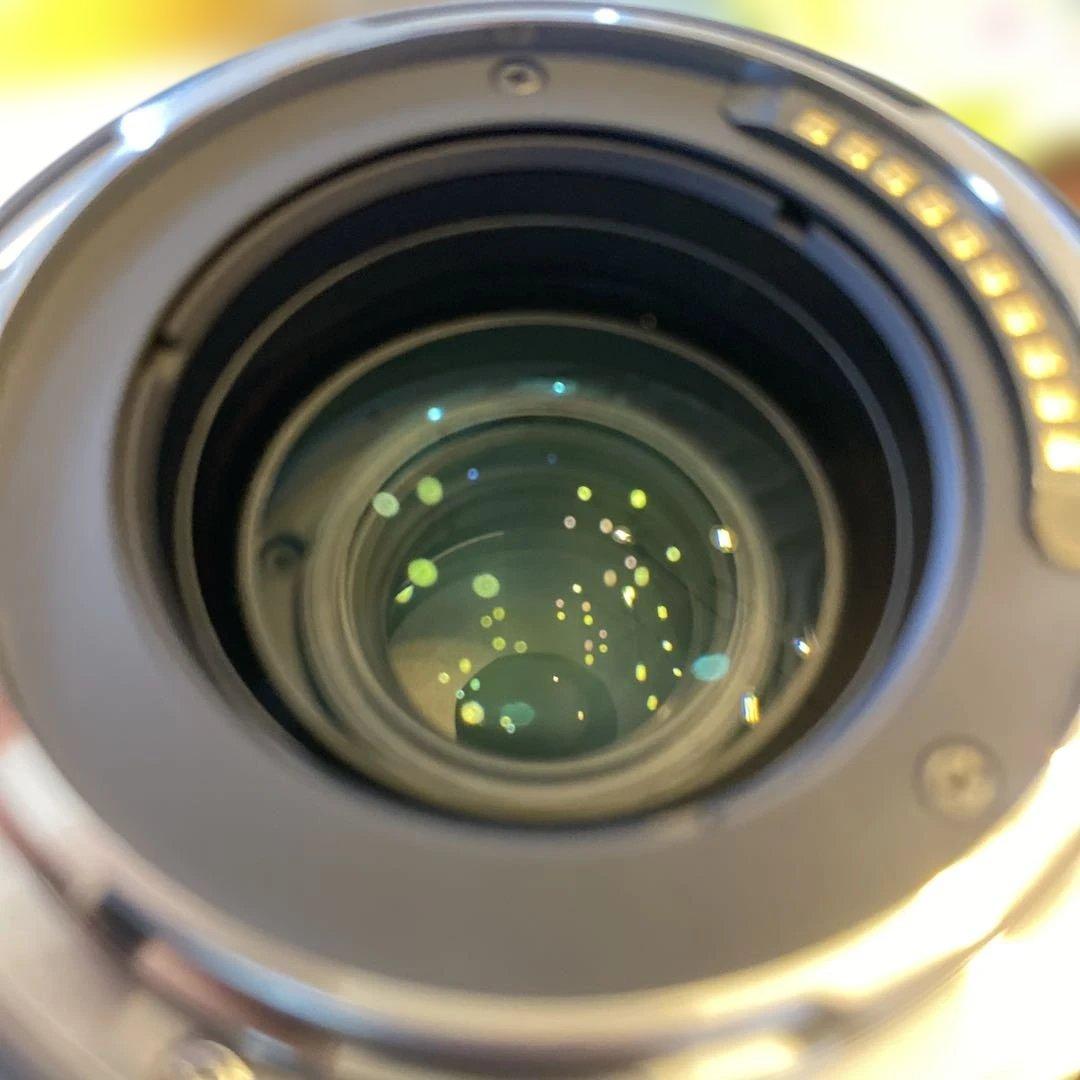 SIGMA28-70mmF2.8 DG DN ContemporaryLマウント